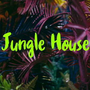 MVLDI BEATS: Jungle House