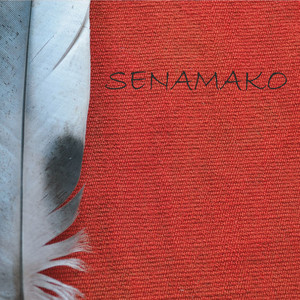 NACHO RODRIGUEZ: Senamako