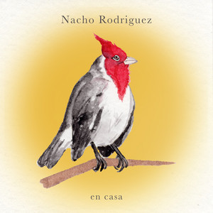 NACHO RODRIGUEZ: En Casa