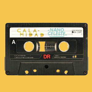 NANO CELESTE: CALAMIDAD