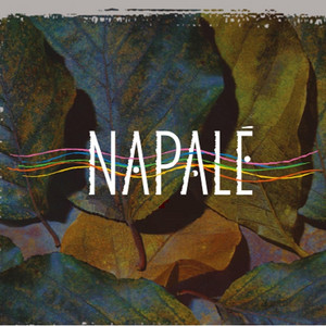 NAPALE: Cha Cha Cha del Apruebo