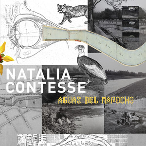 NATALIA CONTESSE: Aguas del Mapocho