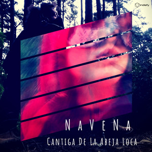 NAVENA: Cantiga De La Abeja Loca