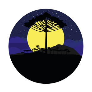 NEUMAS REGGAE: Cuánto tiempo