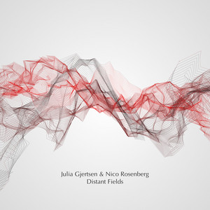 NICO ROSENBERG: Distant Fields