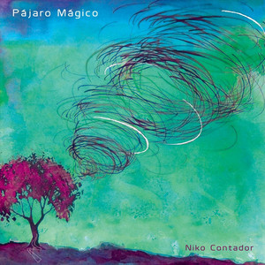 NIKO CONTADOR: Pájaro Mágico