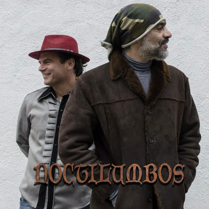 NOCTILUMBOS: Contacto