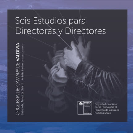 ORQUESTA DE CAMARA DE VALDIVIA: Seis Estudios para Directoras <br>y Directores » class=»wp -image-75409 size-full»/></figure><div class=