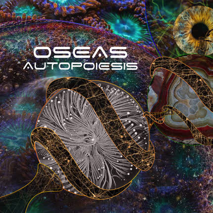 OSEAS: Autopoiesis