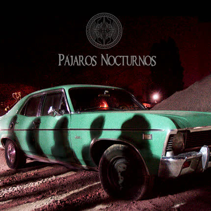 PAJAROS NOCTURNOS: Pájaros Nocturnos