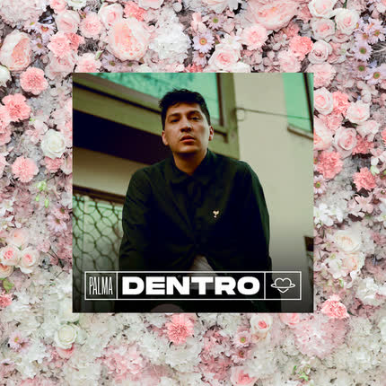 PALMA: Dentro