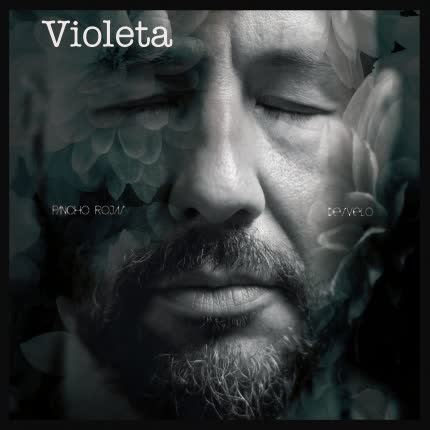 PANCHO ROJAS: Violeta