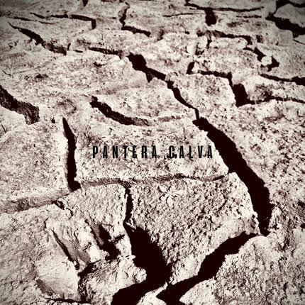 PANTERA CALVA: La Rosa Negra