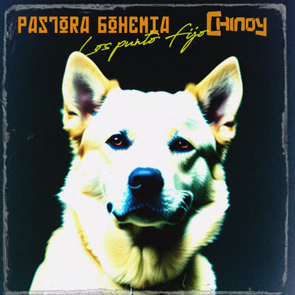 PASTORA BOHEMIA & CHINOY: Los Punto Fijo