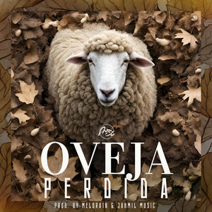 ARTEVOZ: Oveja Perdida