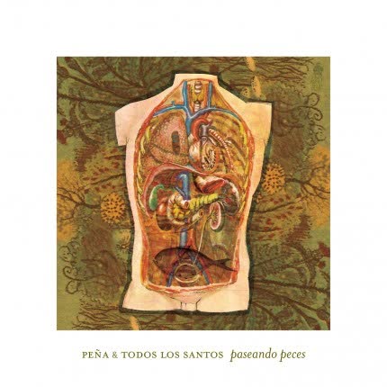 PEÑA Y TODOS LOS SANTOS: Paseando Peces