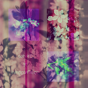 NON PLUS ULTRA: What Is Happyness