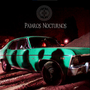 PAJAROS NOCTURNOS: Pájaros Nocturnos