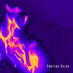 PANTERA CALVA: Cortinas de Sal