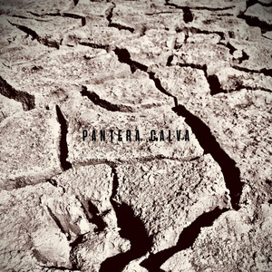 PANTERA CALVA: La Rosa Negra