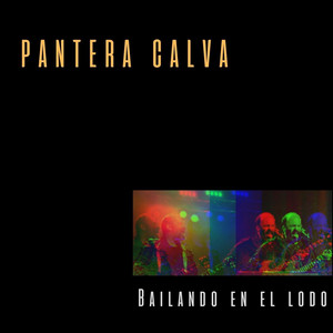 PANTERA CALVA: Bailando en el Lodo