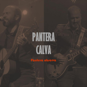 PANTERA CALVA: Pantera Observa