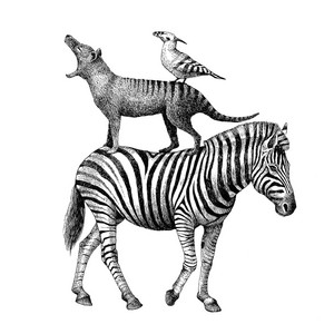 PARARAYAR: Soportar las Fiestas