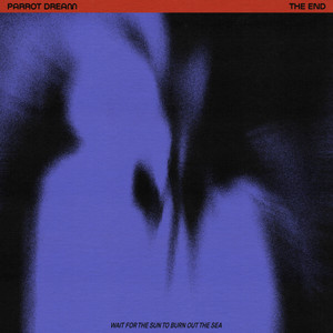 PARROT DREAM: The End