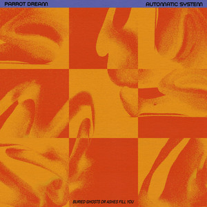 PARROT DREAM: Automatic System