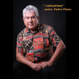 PEDRO PLAZA: Copiapina