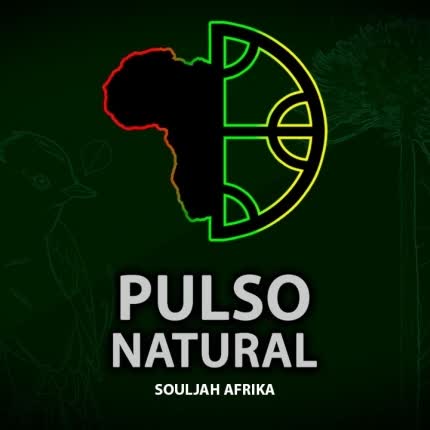 PULSO NATURAL: Souljah Afrika