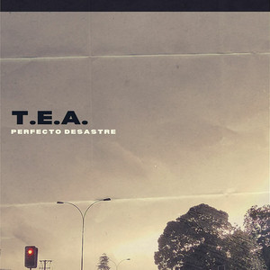 PERFECTO DESASTRE: T. E. A.
