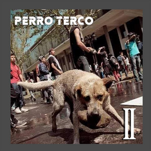 PERRO TERCO: II