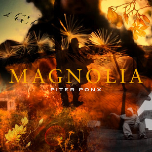 PITER PONX: Magnolia