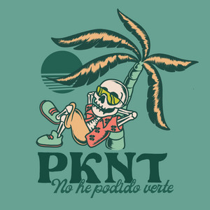 PKNT: No he podido verte