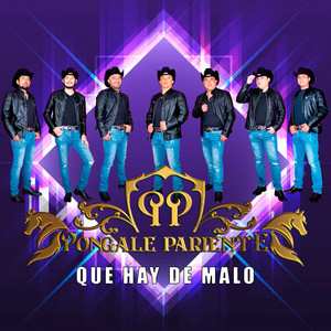 PONGALE PARIENTE: QUE HAY DE MALO