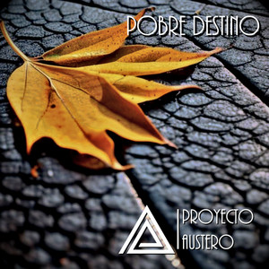 PROYECTO AUSTERO: Pobre Destino