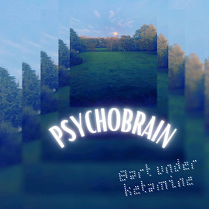 PSYCHOBRAIN: Bart under kétamine