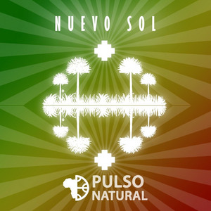 PULSO NATURAL: Nuevo Sol
