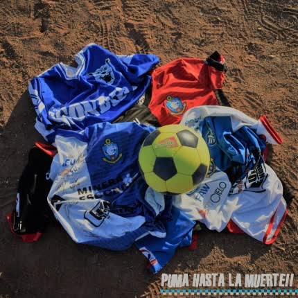 RICKY BASTARDO: Puma Hasta la Muerte