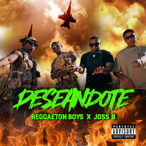 REGGAETON BOYS: Deseandote