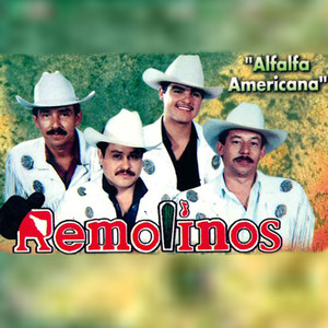 REMOLINOS: Alfalfa Americana