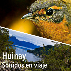 RESONANCIA FEMENINA: Huinay, Sonidos en Viaje
