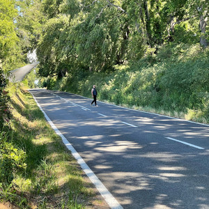 AUTOMOTOR: Ruta Del Dolor