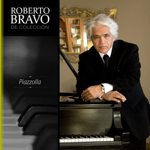 ROBERTO BRAVO: Roberto Bravo de Colección, Vol.2