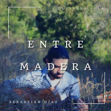 SEBASTIAN DIAZ: Entre Madera