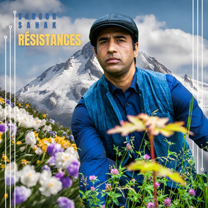 SABOOR SAHAK: Resistances