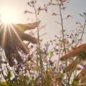 SEBA OLIVOS: La Felicidad