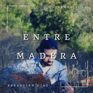 SEBASTIAN DIAZ: Entre Madera