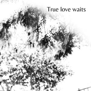 SEBASTIAN MORALES: True Love Waits
